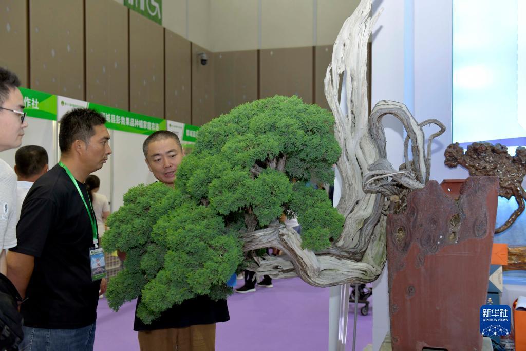 澳门新葡亰真的